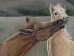 Acrylic Painting of Colts in the Spring
